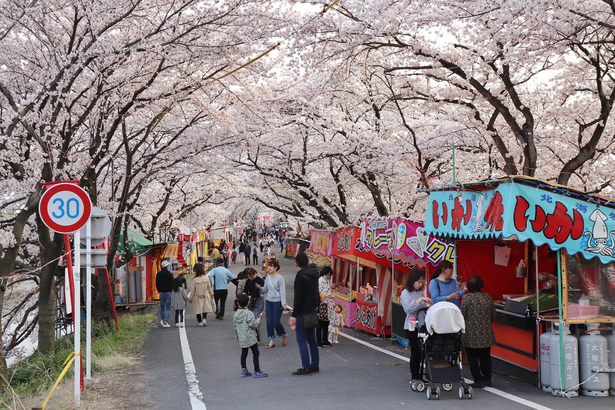 🌳 오가키 공원 (Ogaki Park) 이미지 12
